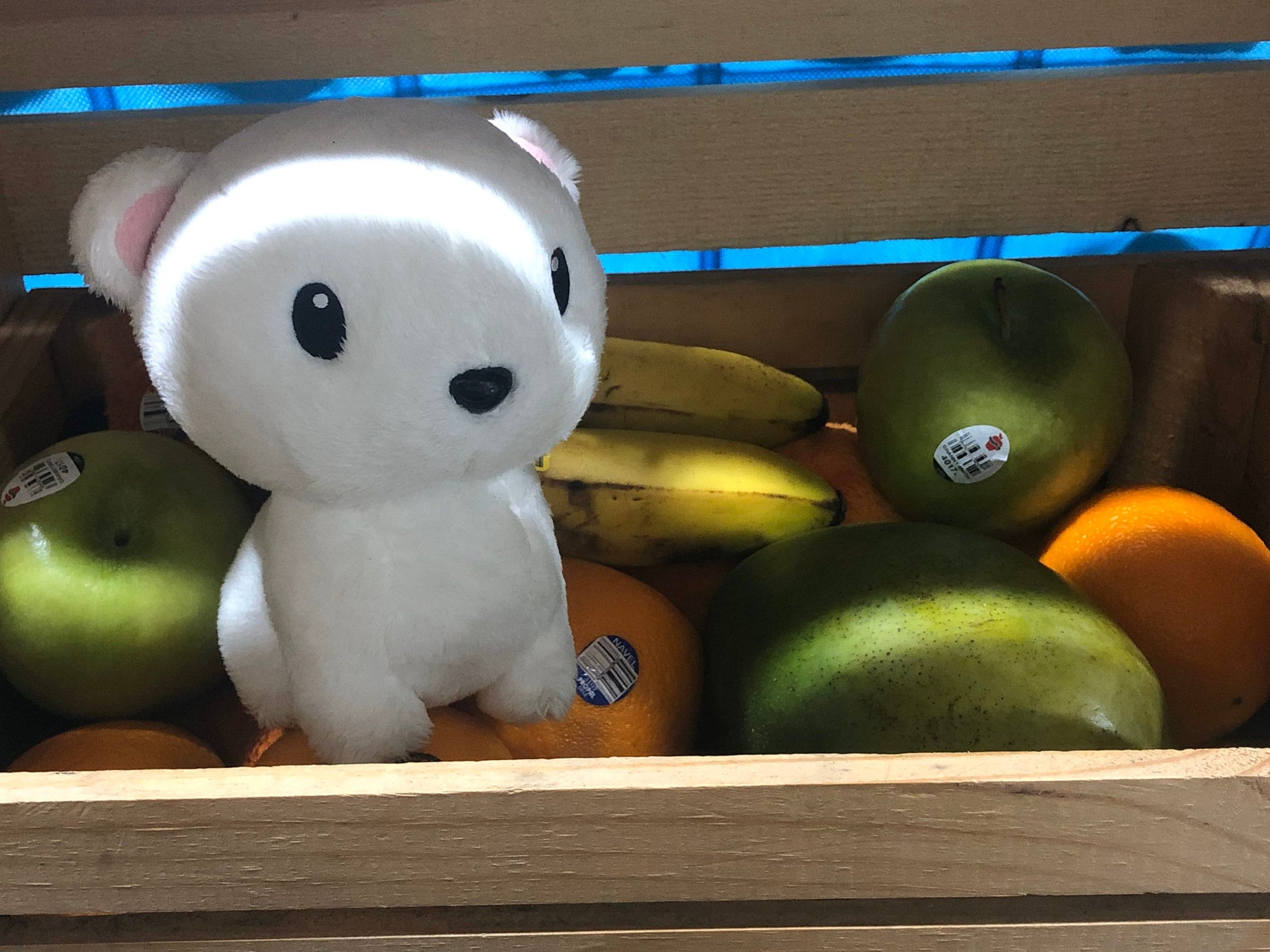 Snowy Bear Plush, Polar bear plushie, bear stuffed animal, stuffed toy, softie, baby bear plushie, collectible plush